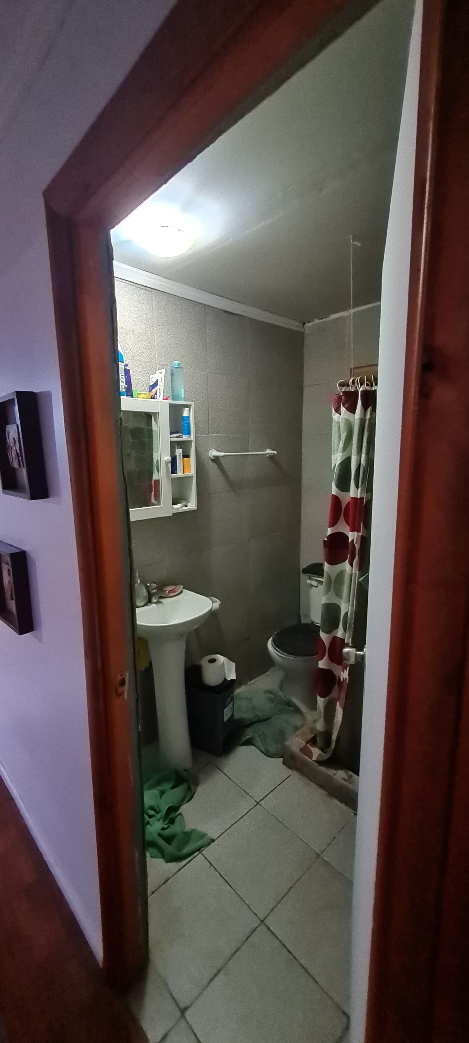 Baño antes de remodelar